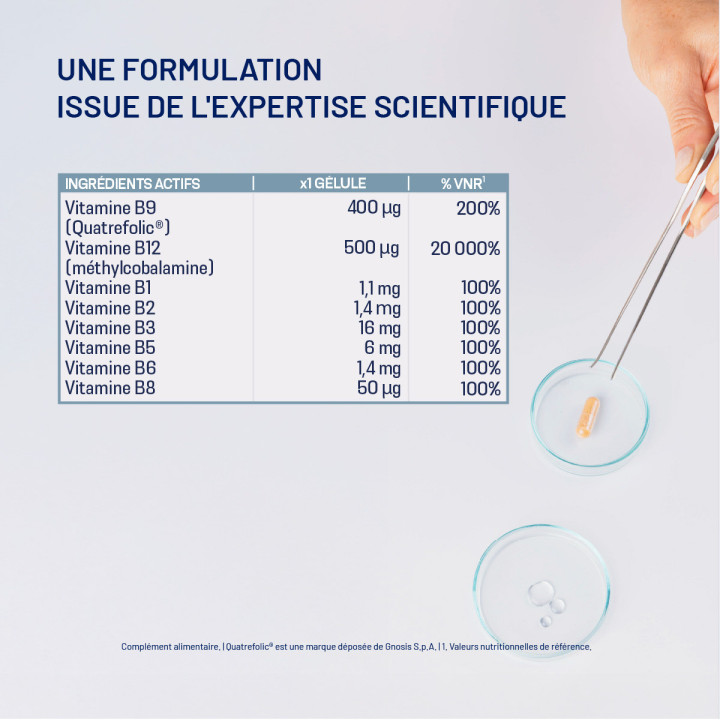 assimyl+ Complexe Vitamines B : énergie | Alvityl