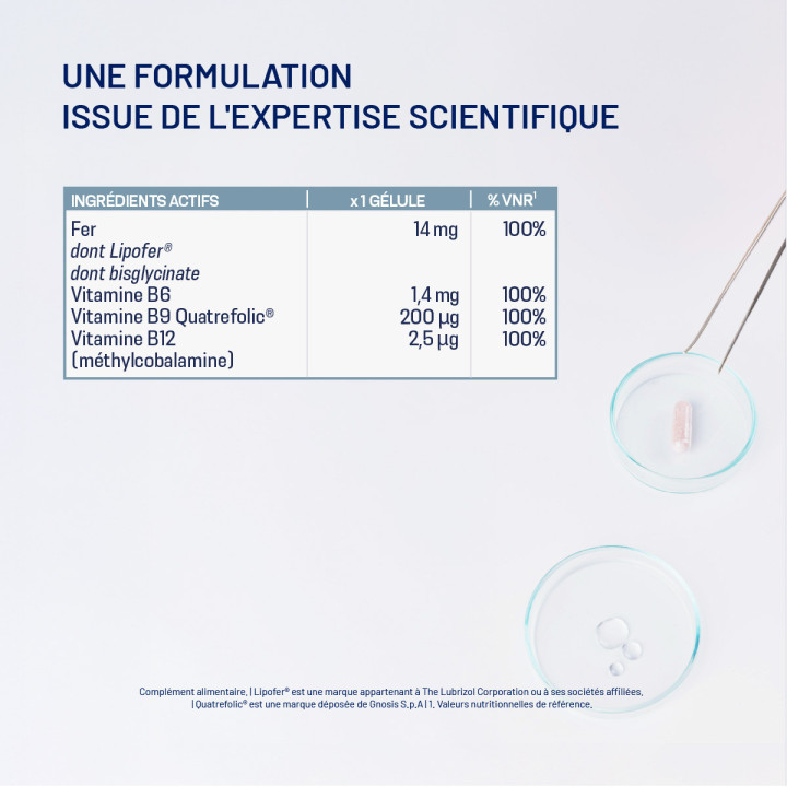assimyl+ Fer : Lipofer® & fer bisglycinate | Alvityl
