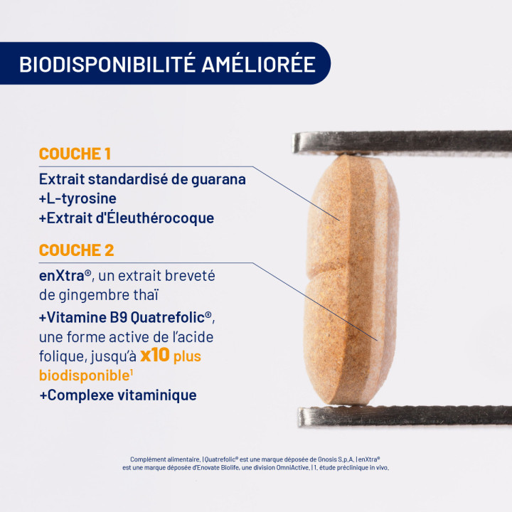 assimyl+ Vitalité : énergie & fatigue | Alvityl