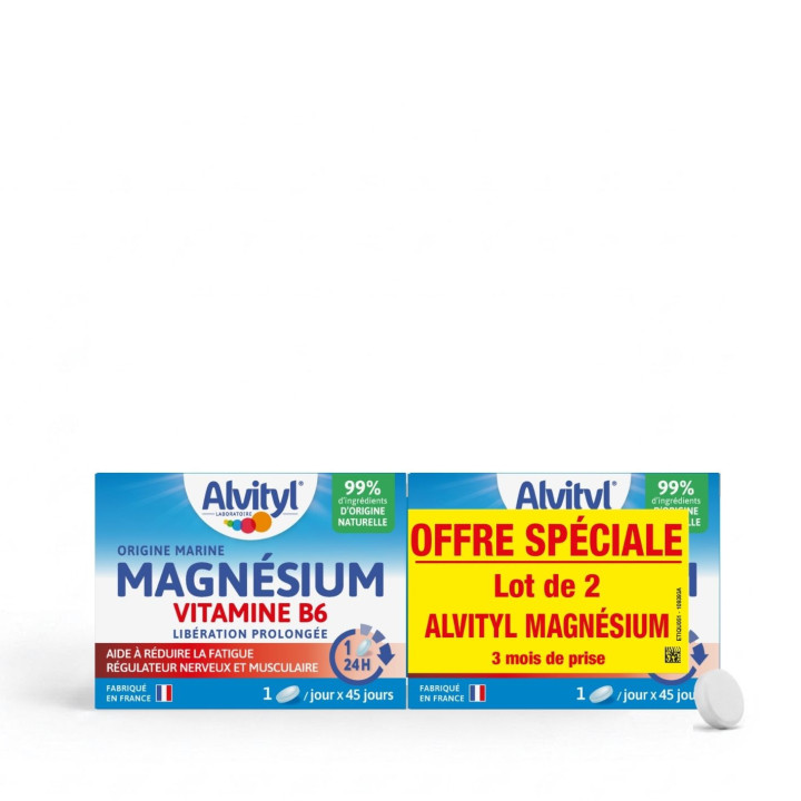 Magnésium Libération prolongée - lot de 2 | Alvityl