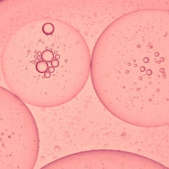 Chrononutrition et supplémentation : comment le rythme biologique conditionne l’absorption des micronutriments