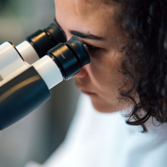 Vers une micronutrition de précision : chrononutrition et biodisponibilité 