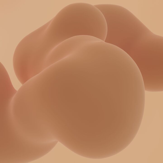 Absorption intestinale : transporteurs, synergies et freins biologiques