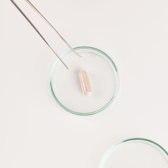 Lipofer® : la technologie liposomale au service d’une biodisponibilité du fer supérieure et mieux tolérée 