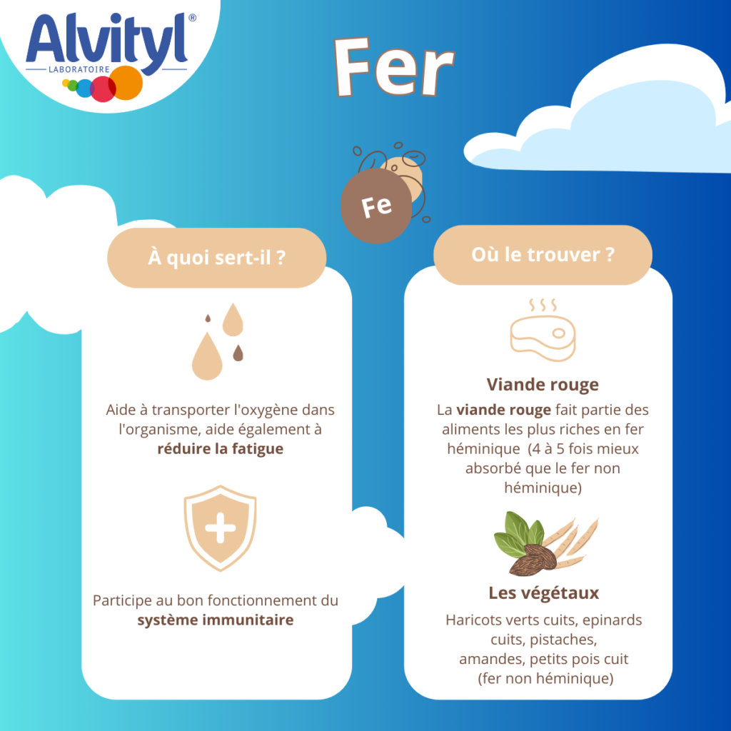 Qu'est ce que le Fer : rôle, bienfaits et aliments - Alvityl