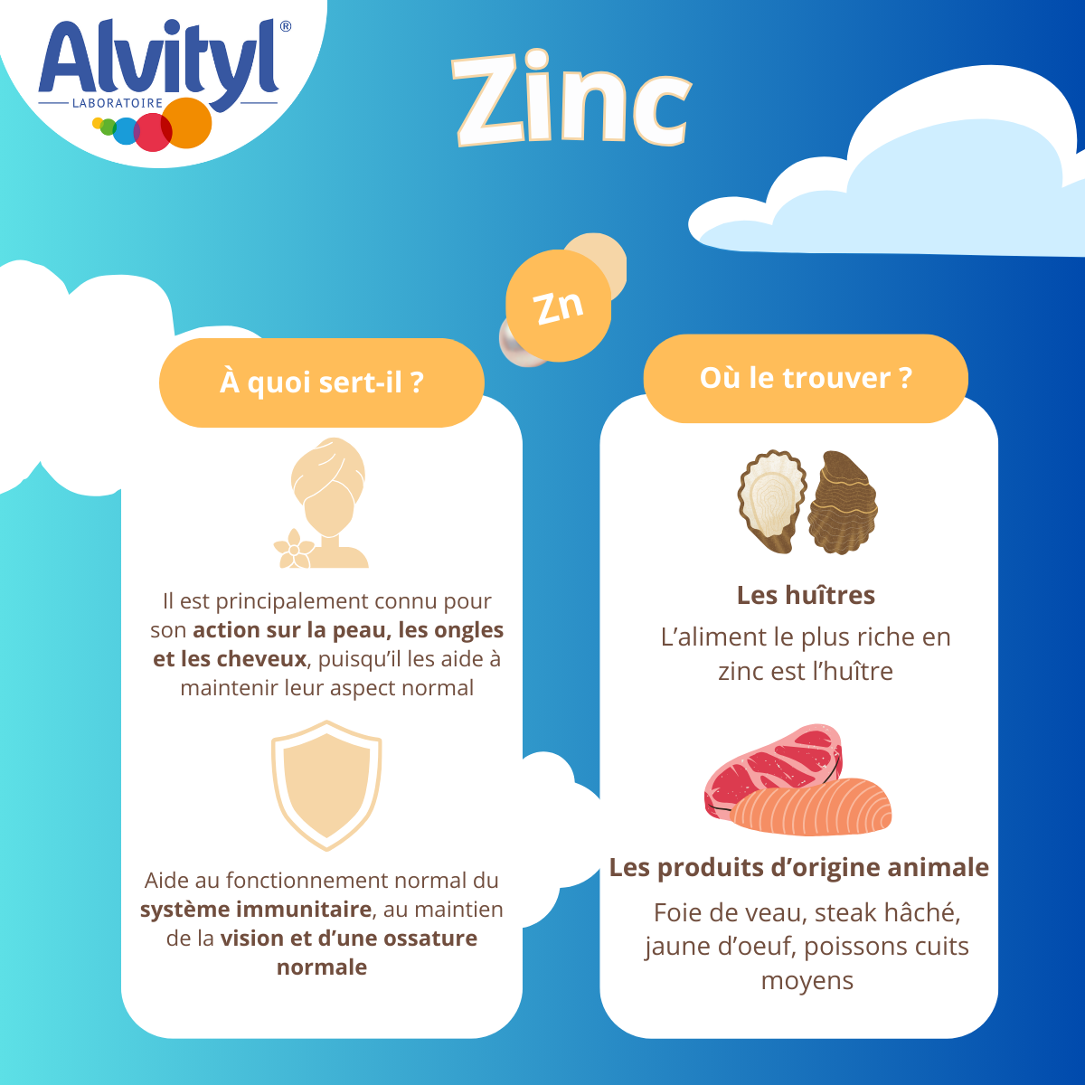 Zinc: Bienfaits pour le système immunitaire