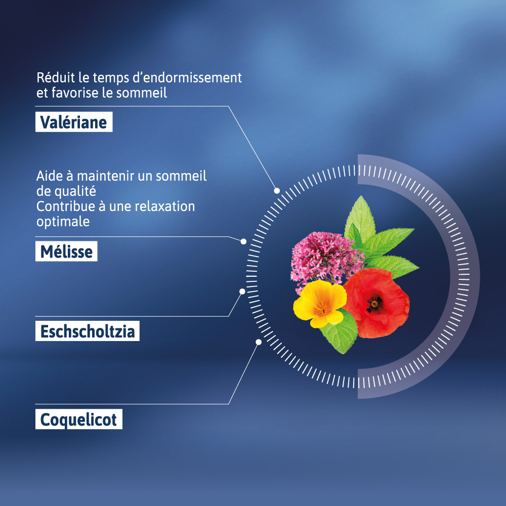 COMPOSITION ALVITYL SOMMEIL