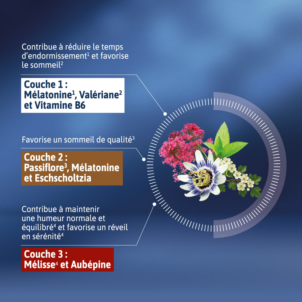 COMPOSITION ALVITYL MELA-SOMMEIL LIB