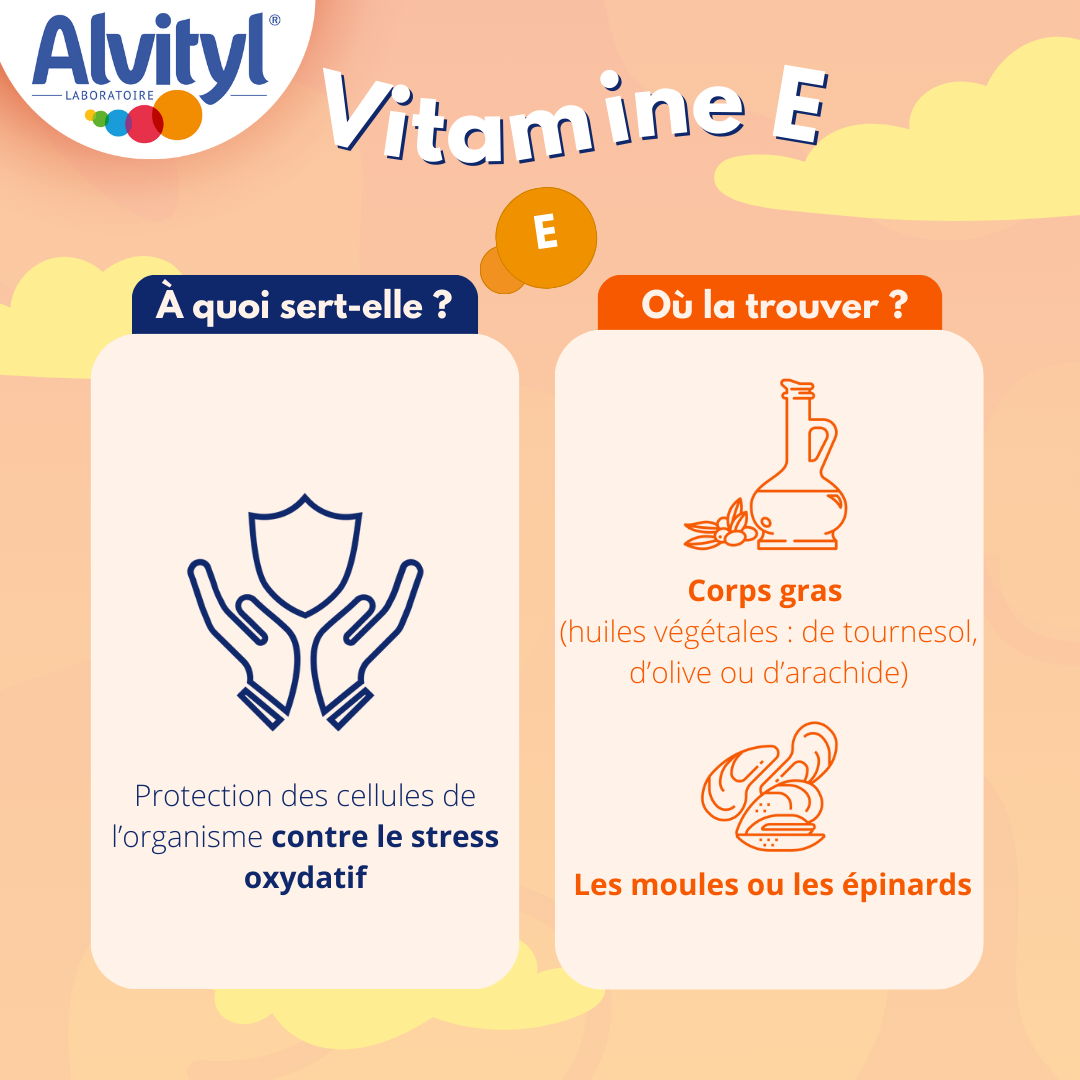 Vitamine E : rôle, bienfaits et aliments riches en vitamine E