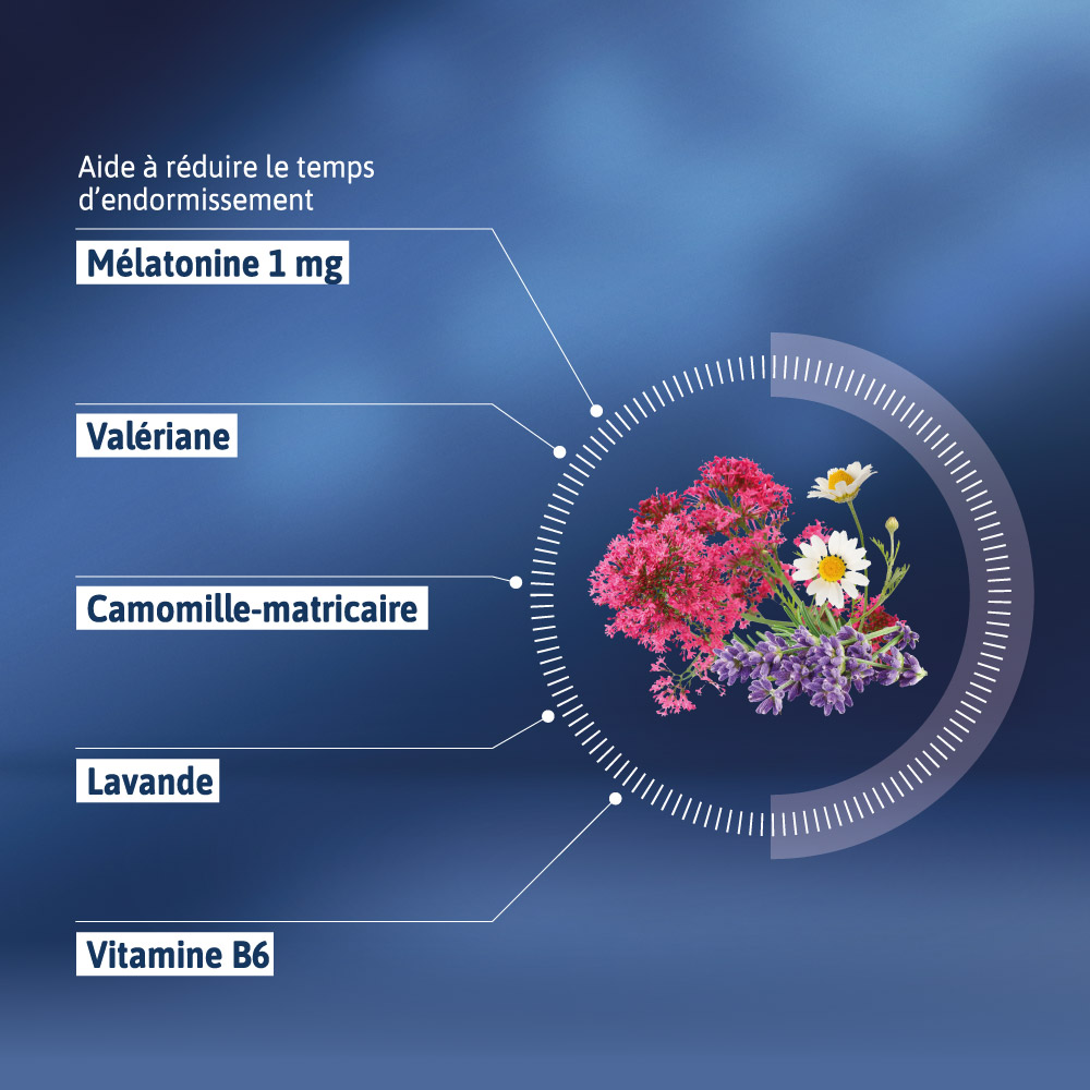 COMPOSITION ALVITYL MELASOMMEIL GOMMES