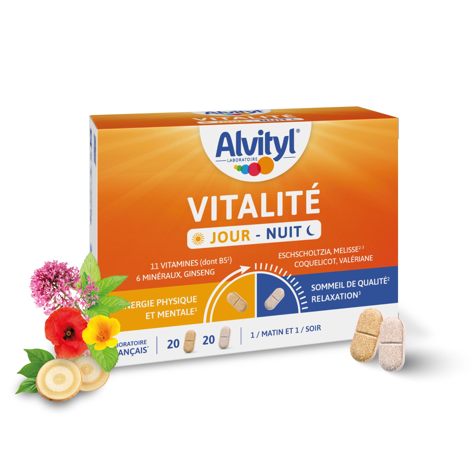 Alvityl Vitalité Jour Nuit complément alimentaire ingrédient avec produit