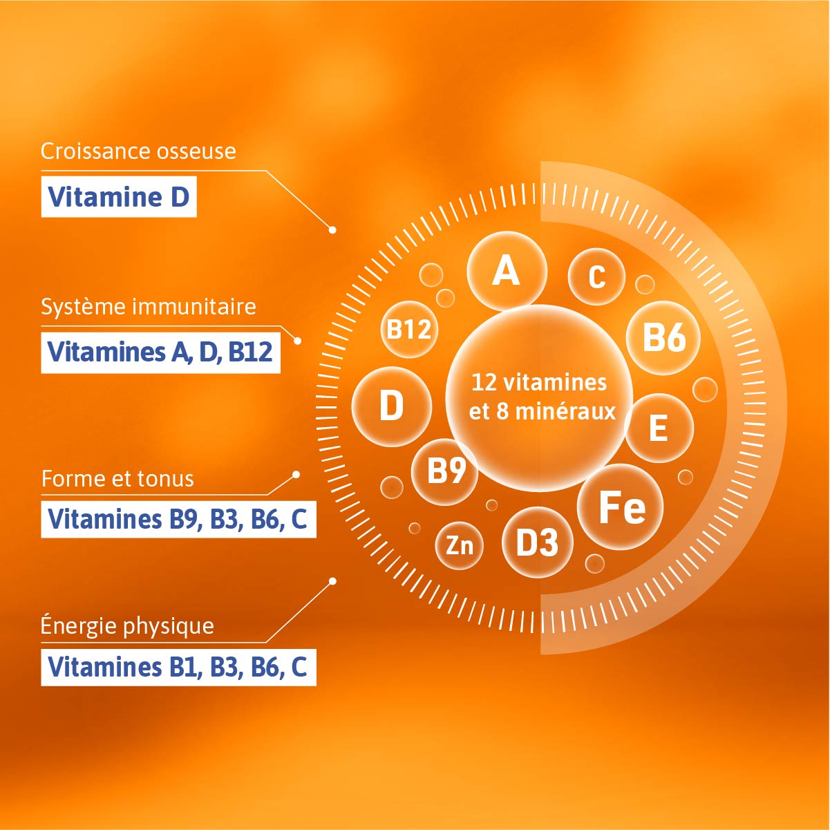 COMPOSITION ALVITYL VITALITE A AVALER