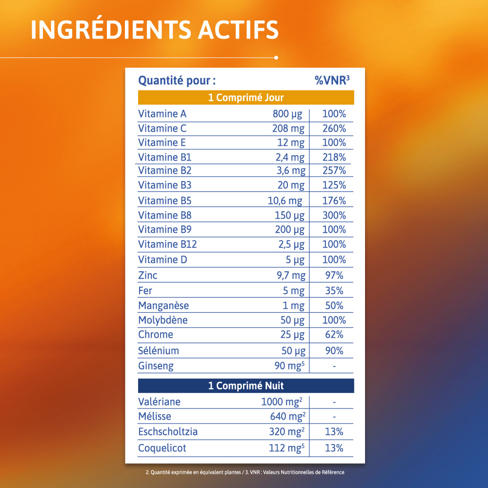 Ingrédient des actifs Alvityl Vitalité Jour Nuit