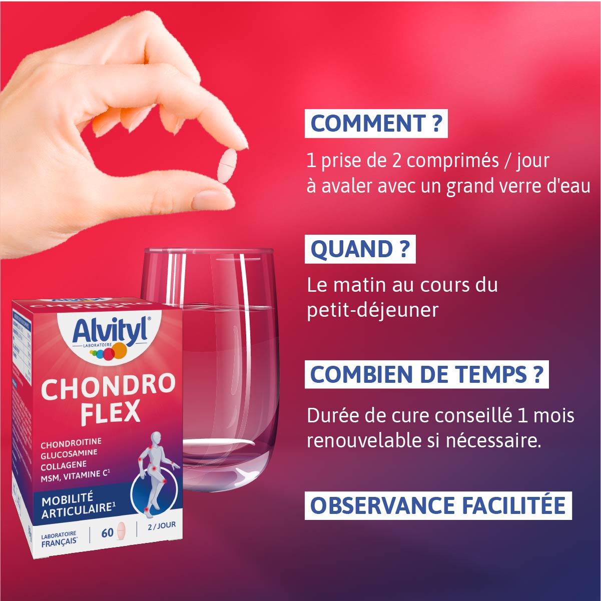 POSOLOGIE ALVITYL CHONDROFLEX