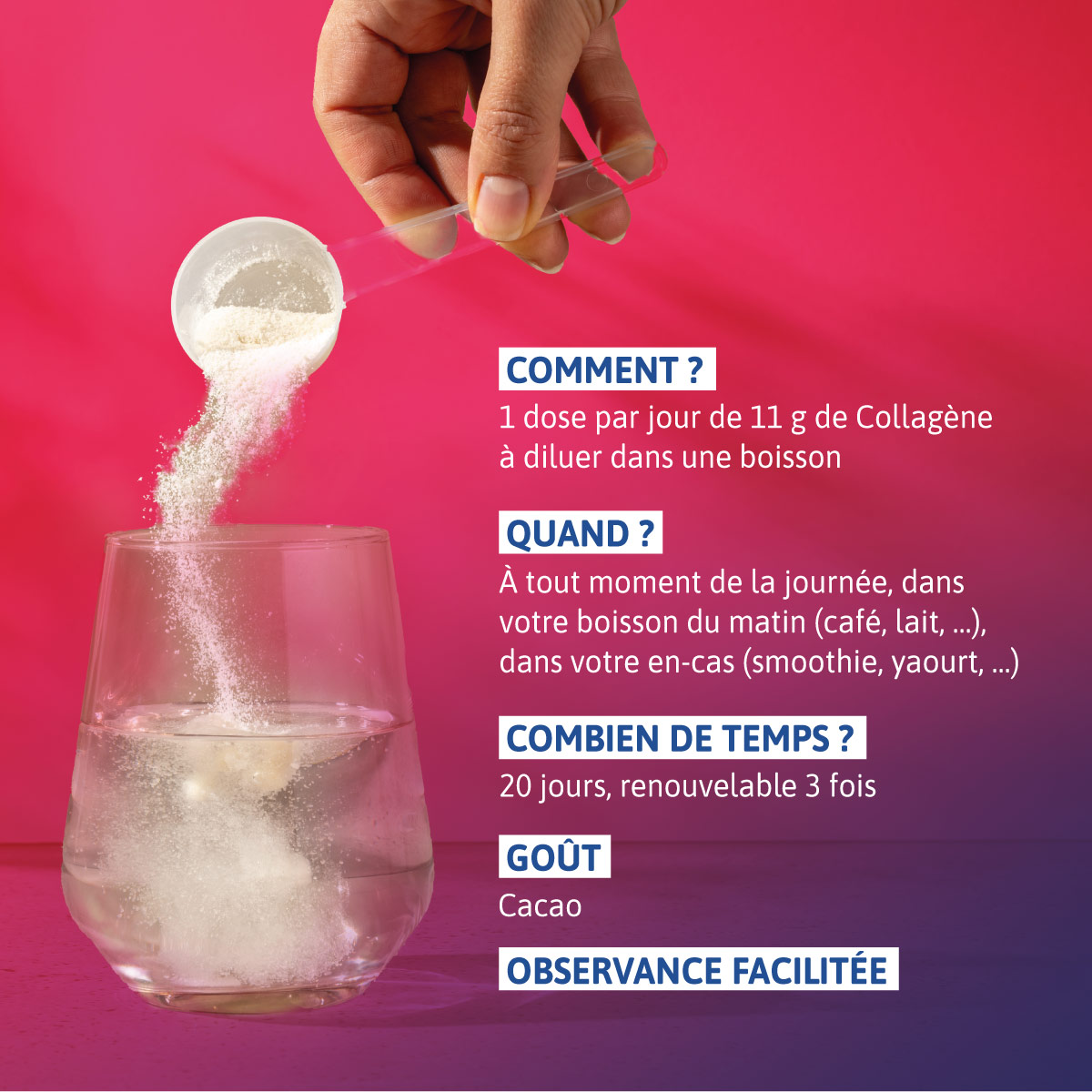 Alvityl Chondroflex Collagène posologie du produit