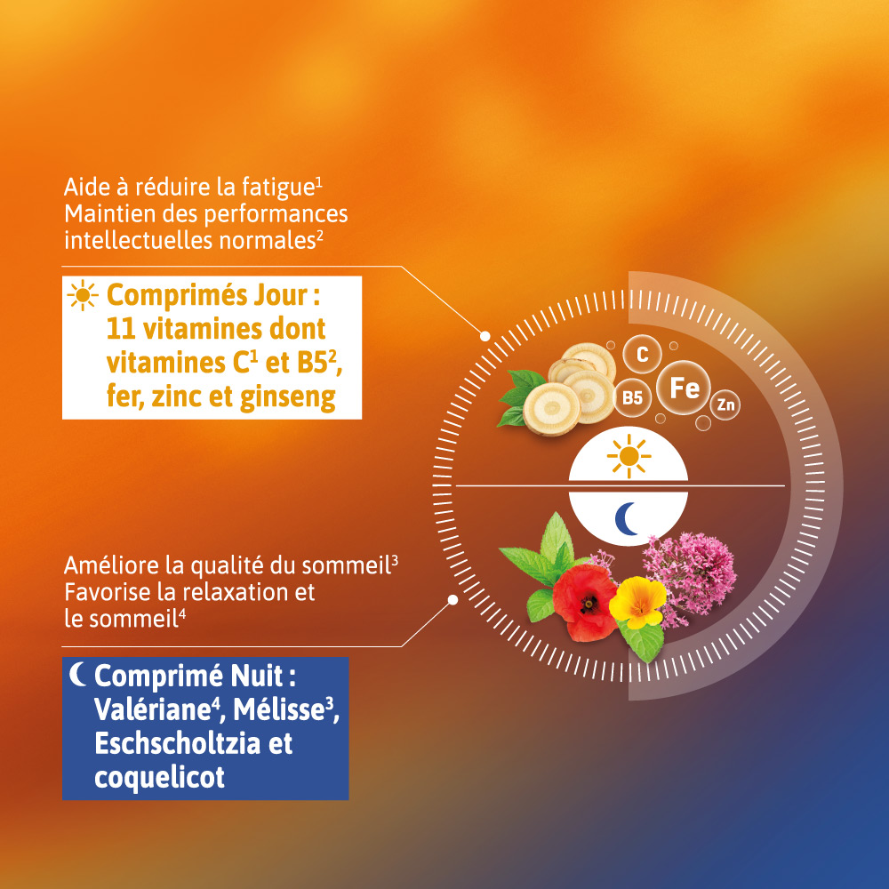 Alvityl Vitalité Jour Nuit composition du produit